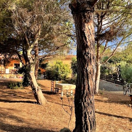 Vila Il Lentischio Del Sinis Putzu Idu Exteriér fotografie