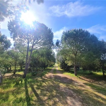 Vila Il Lentischio Del Sinis Putzu Idu Exteriér fotografie