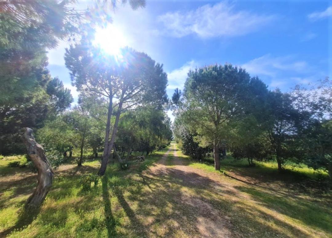 Vila Il Lentischio Del Sinis Putzu Idu Exteriér fotografie