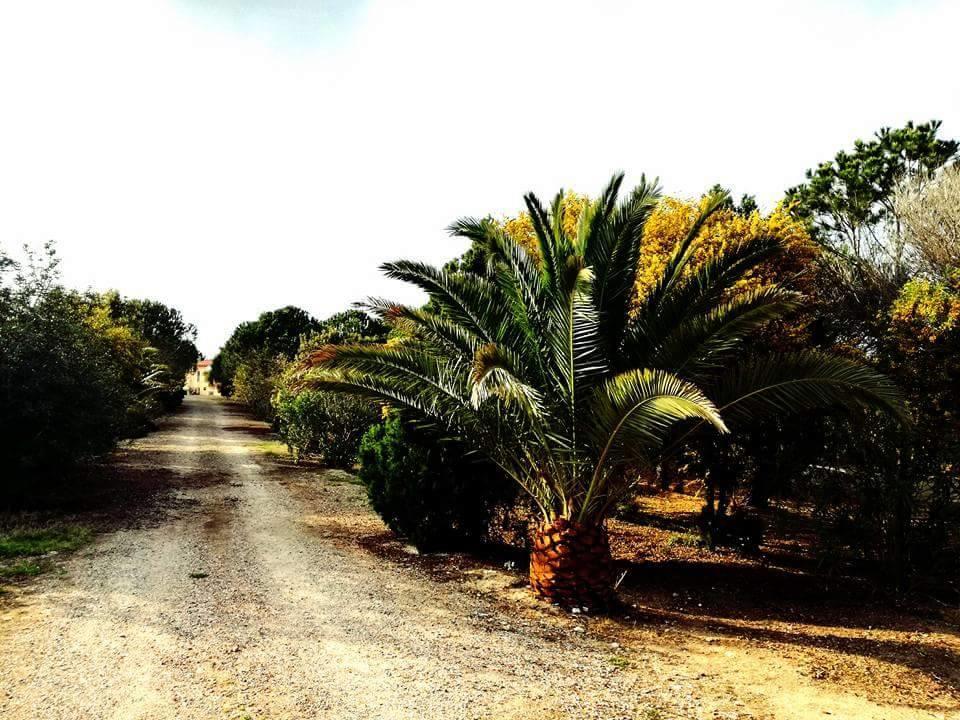 Vila Il Lentischio Del Sinis Putzu Idu Exteriér fotografie